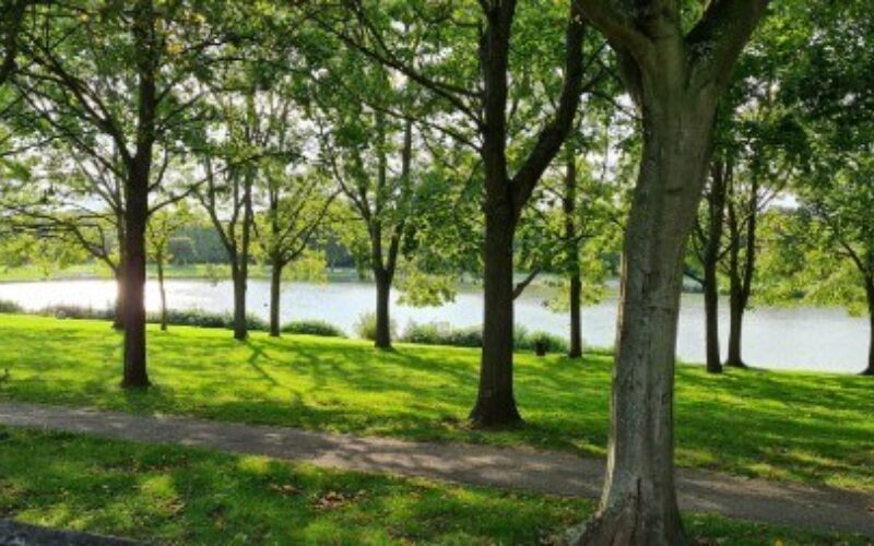 2 Reduce stress smaller