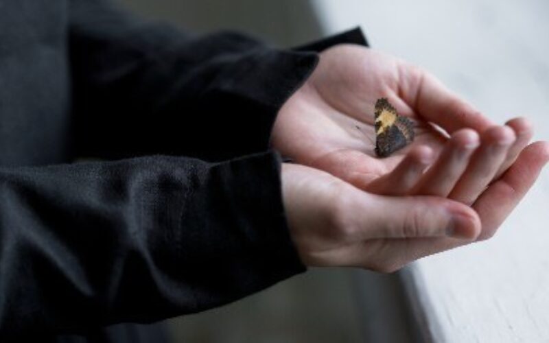 5 Learn something new smaller