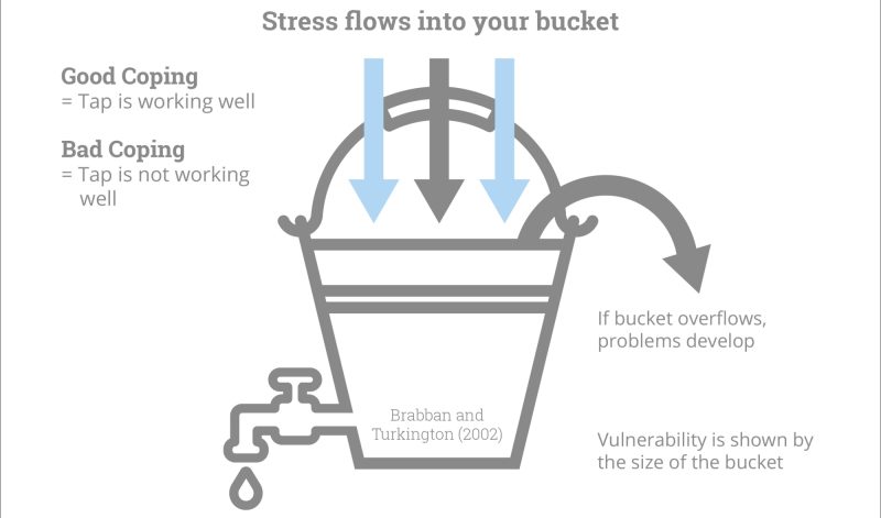 Stress Bucket